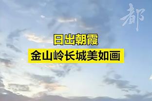 开云app最新官方入口官网截图2